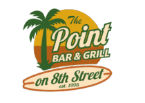 the point logo final v1